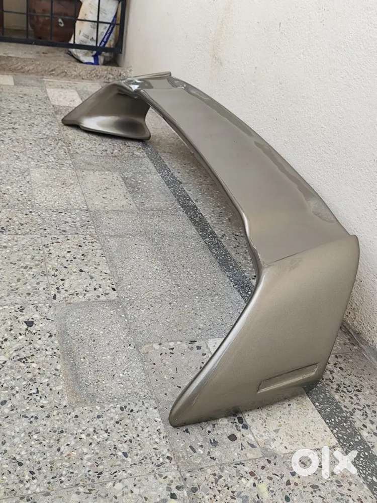 Spoiler with painted