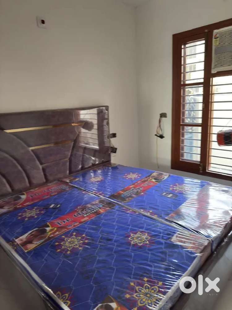 One bhk for rent boys girls family sector 127 royal property