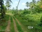 Land for rend in monthly or yearly lease
