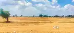 திருச்சி மாத்தூர் - துவாக்குடி ரிங் ரோட்டில் வீட்டுமனைகள்