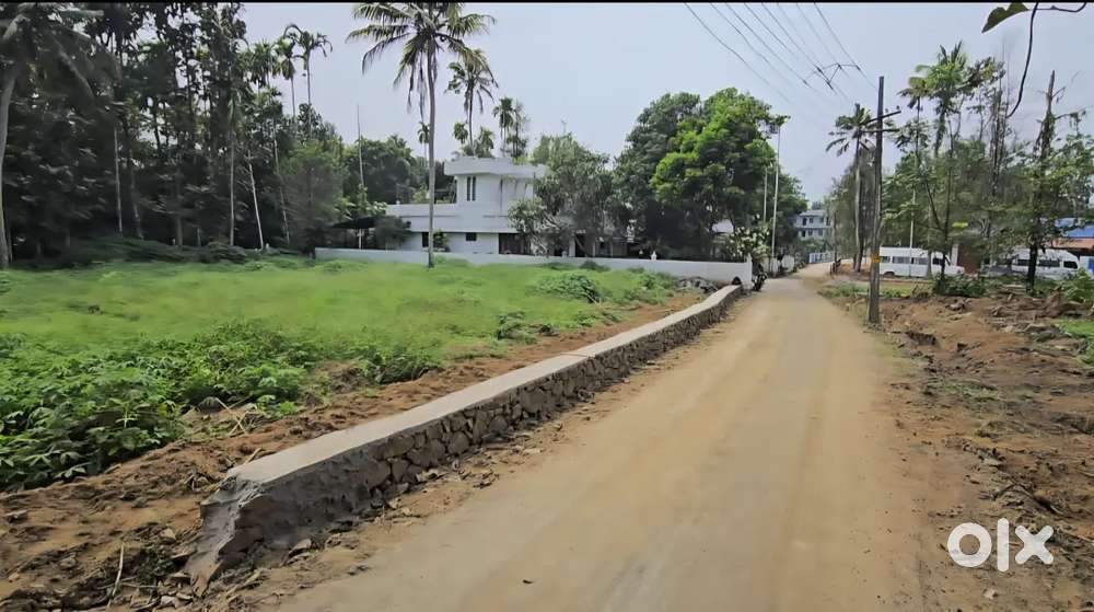 Nedumbassery near airport 40 cent house plot for sale immediately