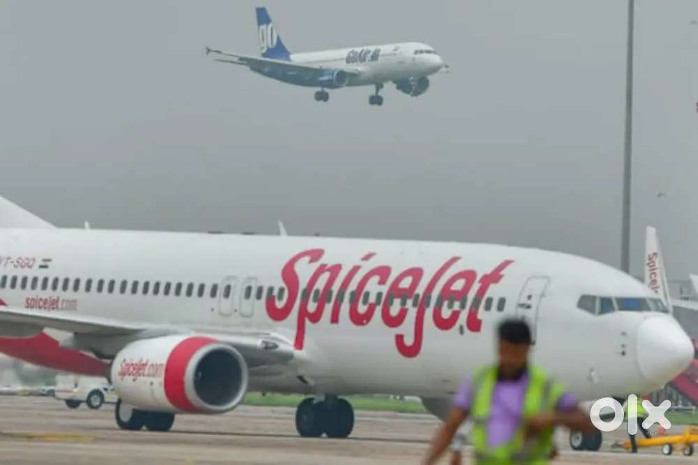 Male and female hiring for airport job