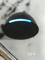 Echo pop alexa
