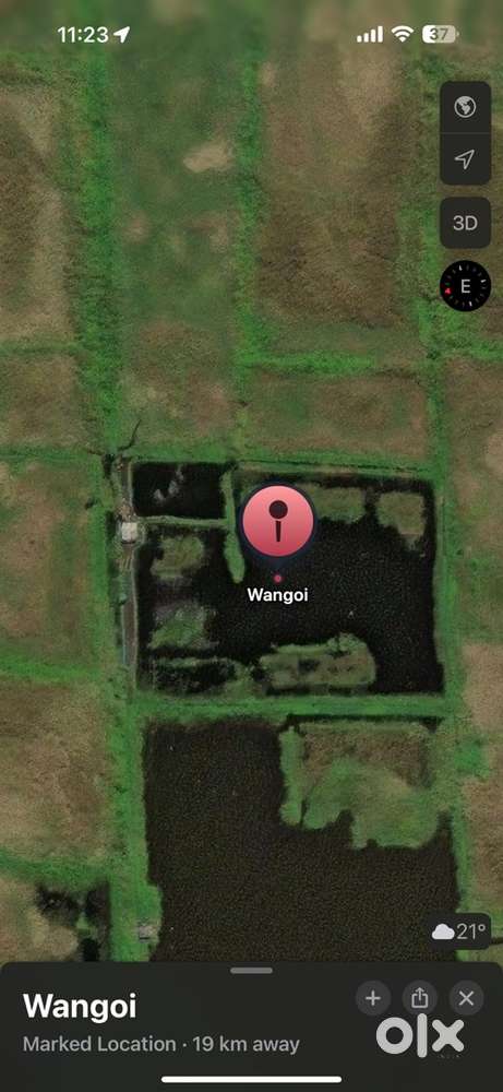 Pari ama chaoba farm ama athubagi thadok ke