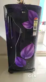 LG Refrigerator (Fridge)