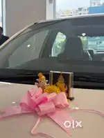 Car Driver Needed