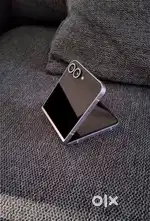 Flip 6 (6month old)