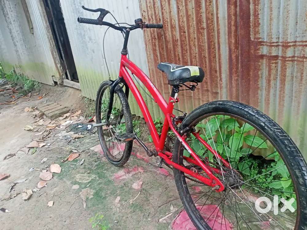 Single speed model