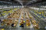 URGENT HIRING For Warehouse Company