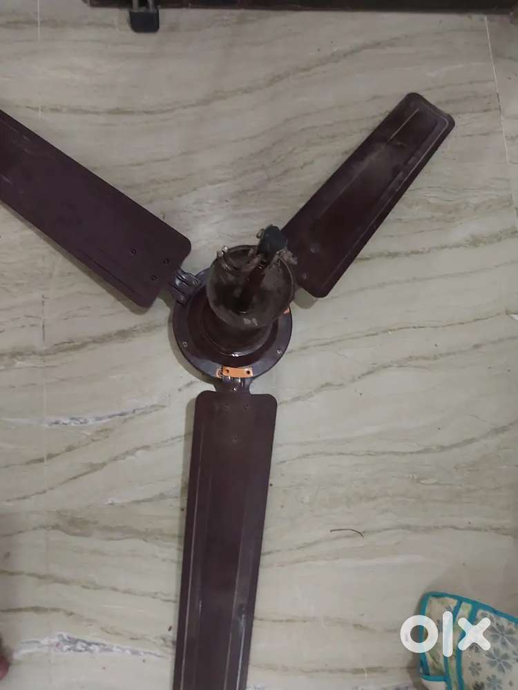 Brown colour Ceiling fan