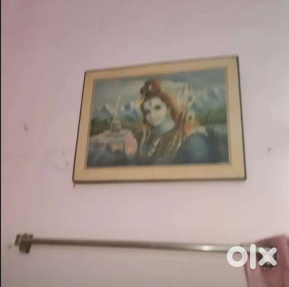 Bachelor's Employees