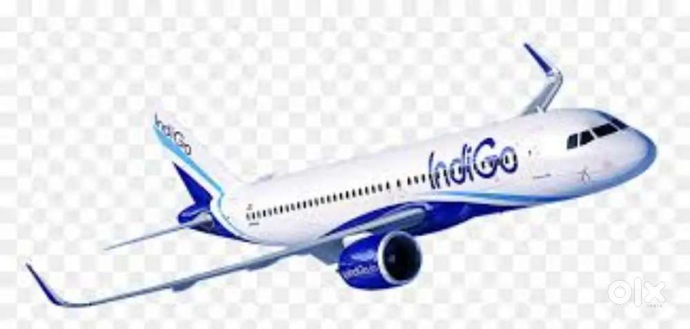 Indigo Airlines and Air India have started recruitment, urgent hiring