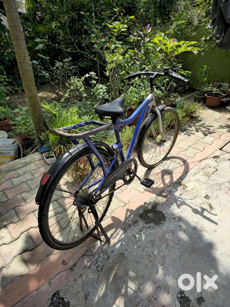 Atlas Campus Cycle for Budget buyers