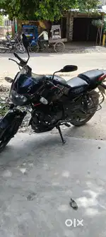 Best condition pulsar for sale