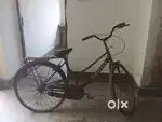 Ladies cycle