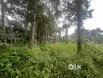 43 Cent land for sale, Kadamapanad