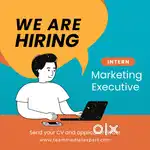 Marketing Executive