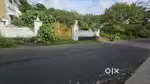 Angamaly karukutty palissery main road frontage 42 cent plot for sale