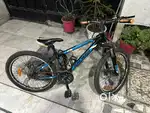 Suncross Cycle 24”