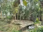Plot for sale