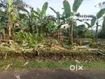 10.5 cents land near pala ( moonnani) for sale.