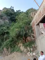 Urban agricultural ਲੈਂਡ