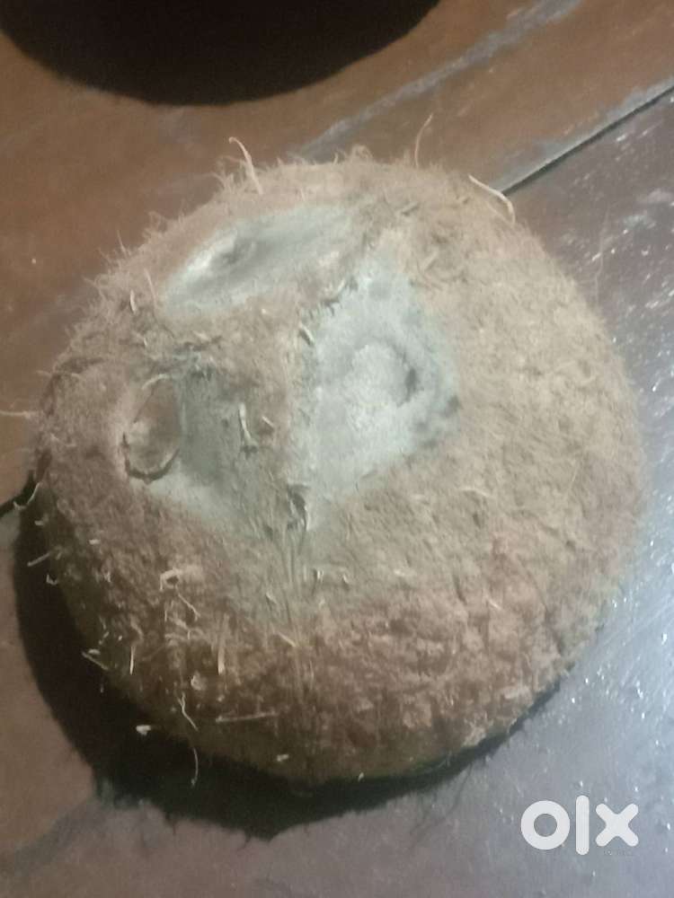 Coconut shell for selling