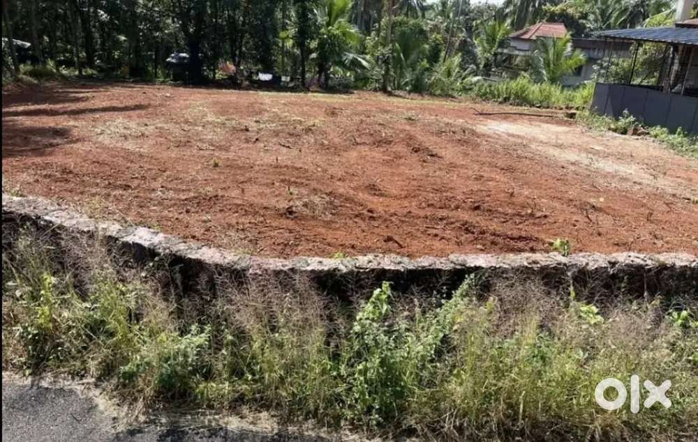 ഉടനടി വിൽപ്പനയ്ക്ക്