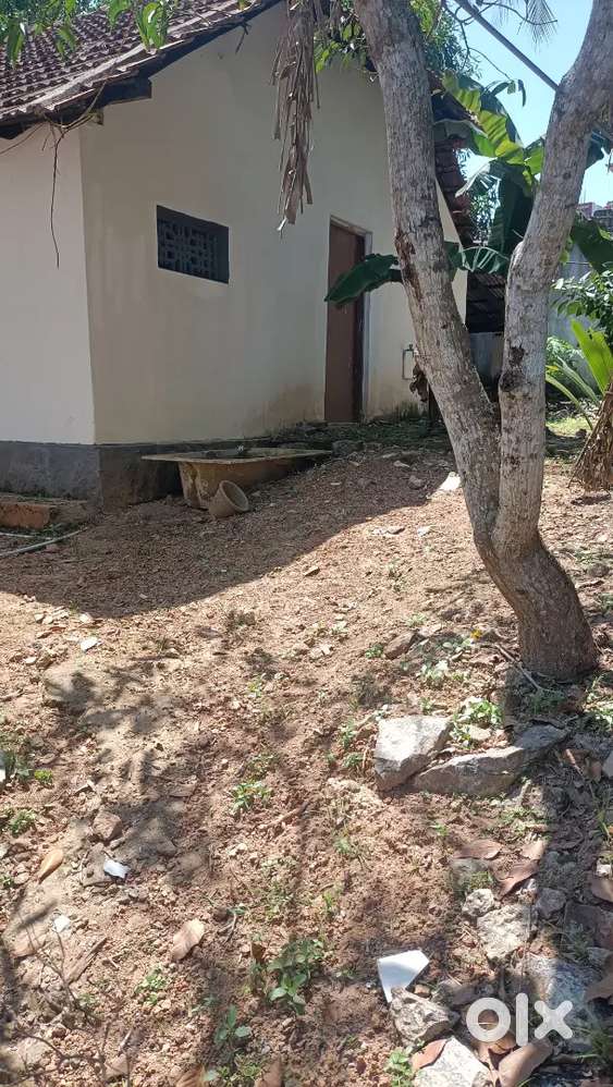 കച്ചണി കുന്നൂർ ശാല 6.5സെന്റ് ഓടിട്ട വീട് 6.5ലക്ഷം