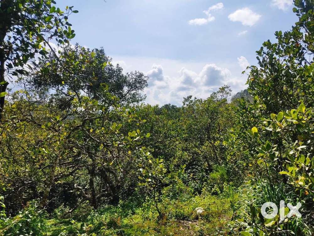 3.8-acre view plot surrounded by nature-Udayagiri Wayanad