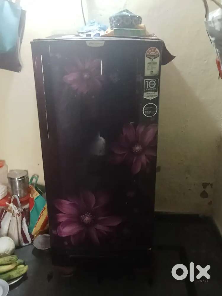 New fridge