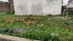 Plot Sale in Sakra,Siltara in Low Price