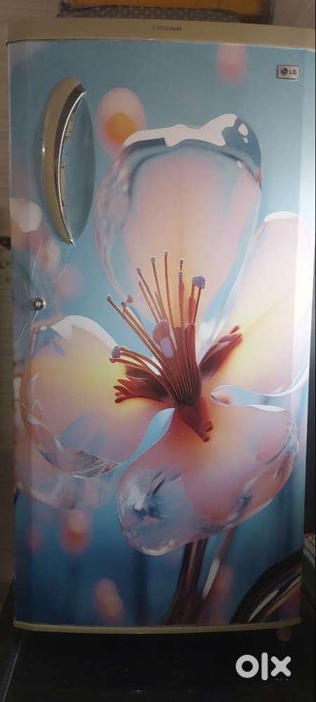 LG Single Door Refrigerator