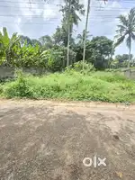 10CENT HOUSE PLOT NEAR KATTAYIKONAM JN 100MTR BUS STOP