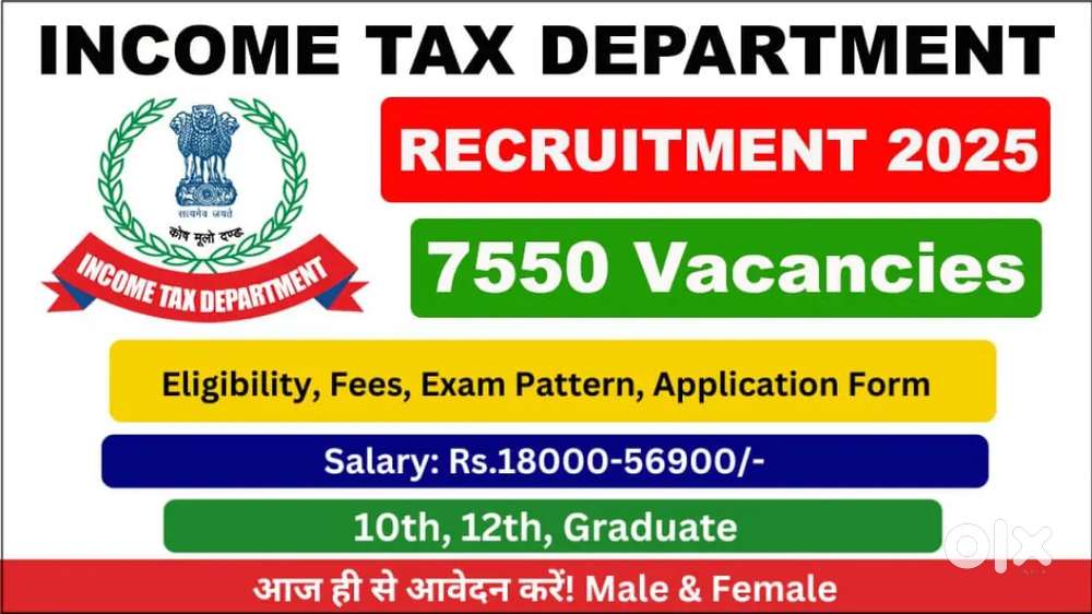 Income tax job requirement