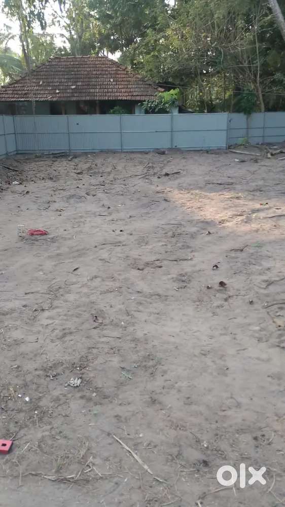 അർത്തുങ്കൽ പള്ളിക്ക് സമീപം 7 സെന്റ് സ്ഥലം (പുരയിടം) വിൽപനക്ക്