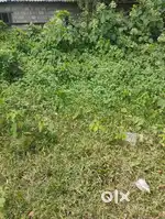 POOTHAKULAM VILLAGE OFFICER  7.5CANT VILPANAYIKK