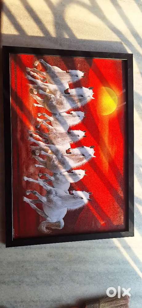 Premium photo frame 7 horse 18/12