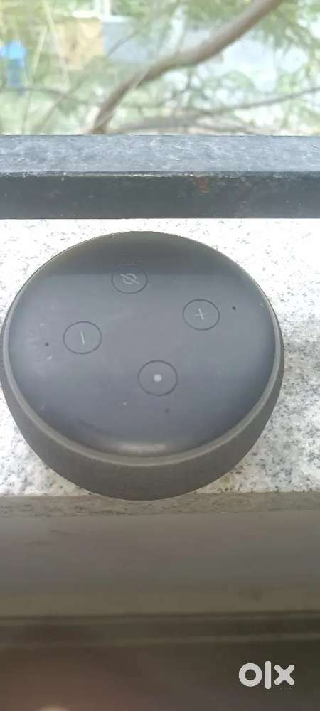 Alexa echo dot