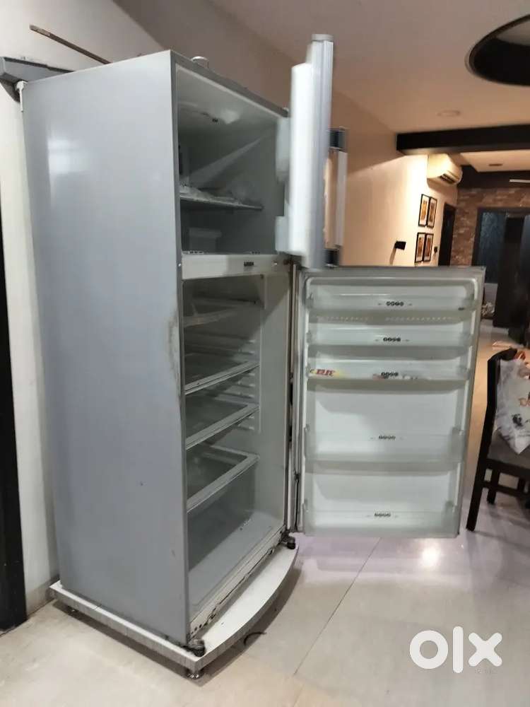 Electrolex 620 Ltr double door