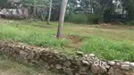 Kaniyapuram pothencode road 5.300 cent andoorkonam