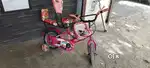 Polestar cycle