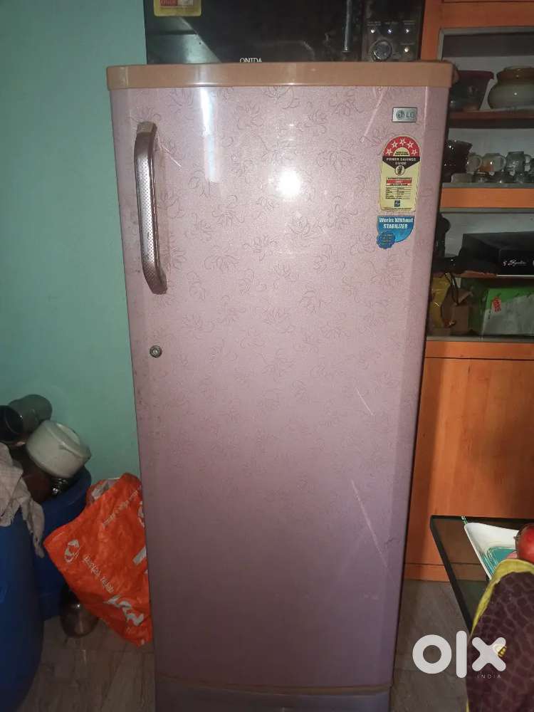 Lg fridge 10 years older