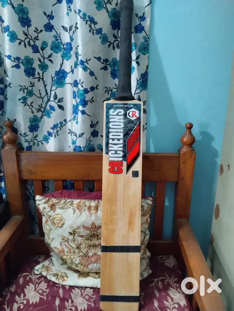 CRICKEDIONS KASHMIR WILLOW CRICKET BAT