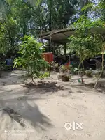 HOUSE PLOT FOR SALE