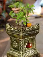 പൊറോട്ട ദോശ മേക്കർ ജോലി ആവിശ്യം ഒണ്ട്