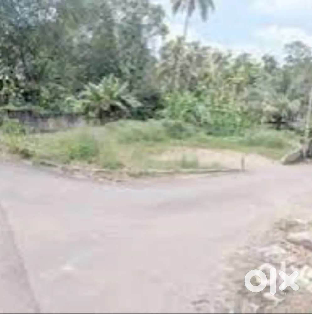 Need open land road side land