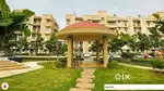 IN ASHIANA DWARKA 2BHK FLAT FOR RENT NEAR AIIMS ON PAL-SANGARIYA ROAD