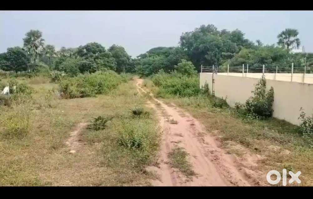 Urgent sale for money