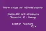Tuition classes with individual attention